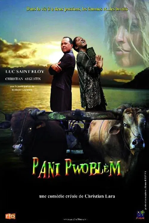 Pani pwoblem movie poster