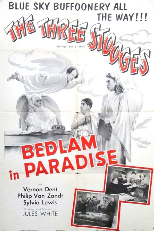 Bedlam in Paradise movie poster