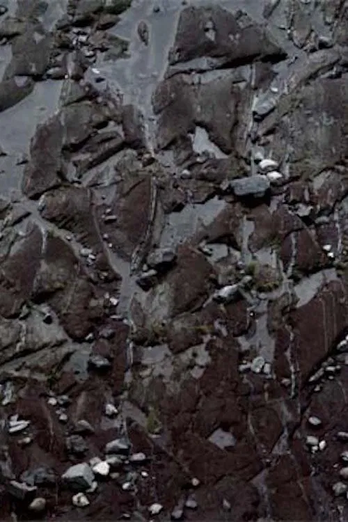 Blue Suns movie poster