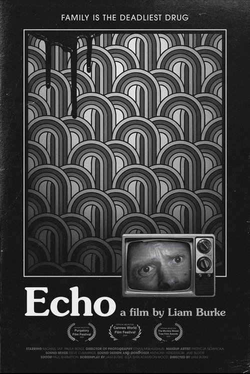 Poster do filme Echo