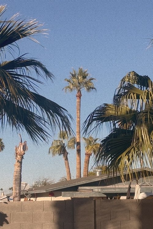 Transplants movie poster