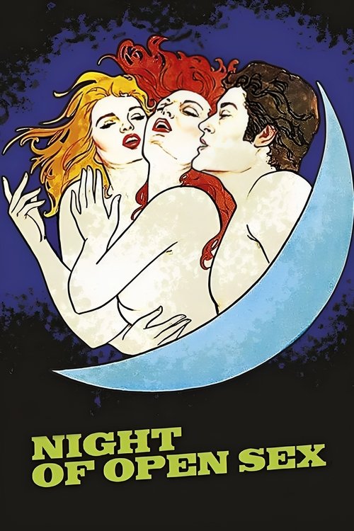 The Night Of Open Sex movie poster