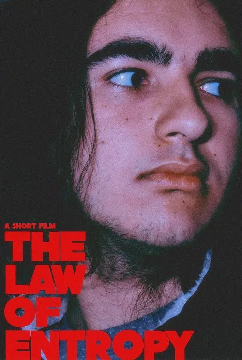 Poster do filme The Law of Entropy