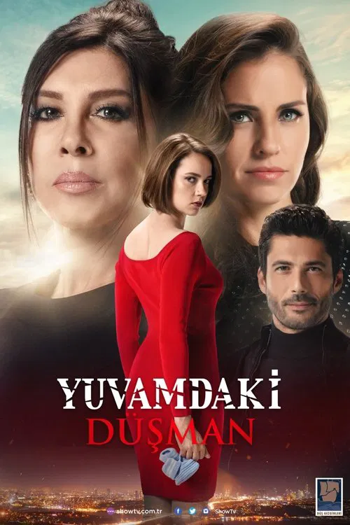 The Enemy in My House tv show poster