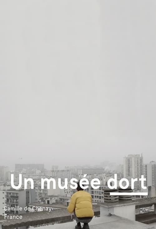 A Museum Sleeps movie poster