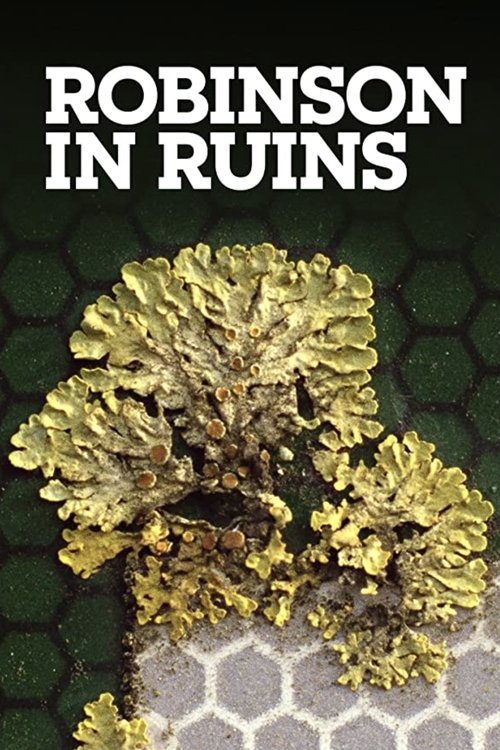 Robinson in Ruins movie poster