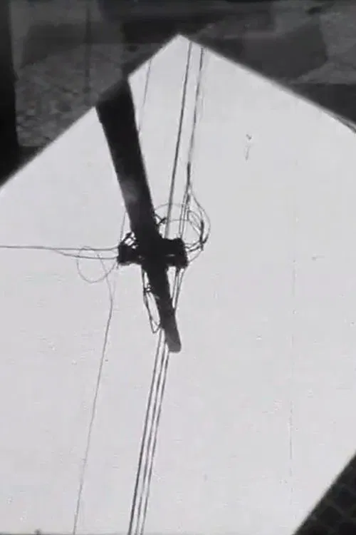 Visão 2013 para Roberto Piva movie poster