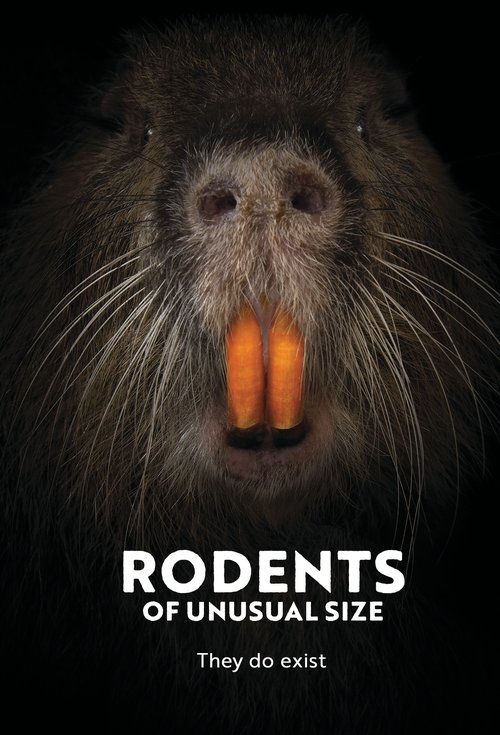Rodents of Unusual Size movie poster