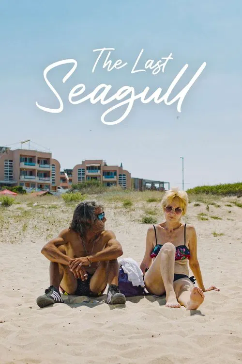 The Last Seagull movie poster