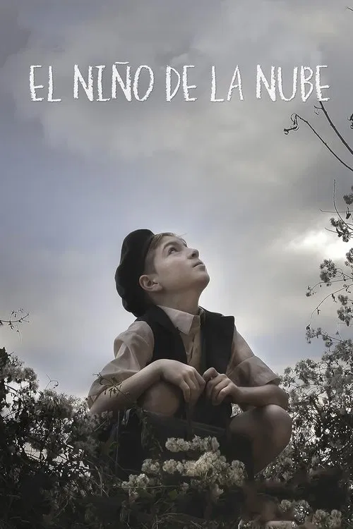 Poster do filme El niño de la nube