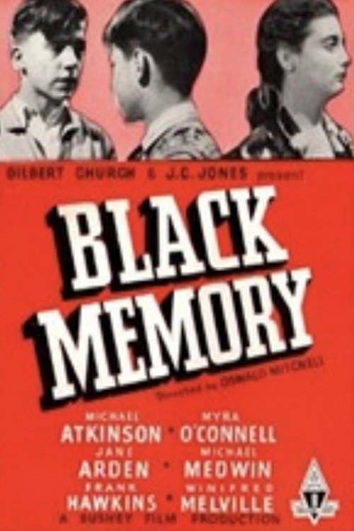 Black Memory movie poster