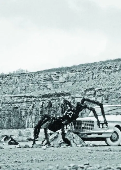 As Long as the Stratified Animal Lights Up movie poster