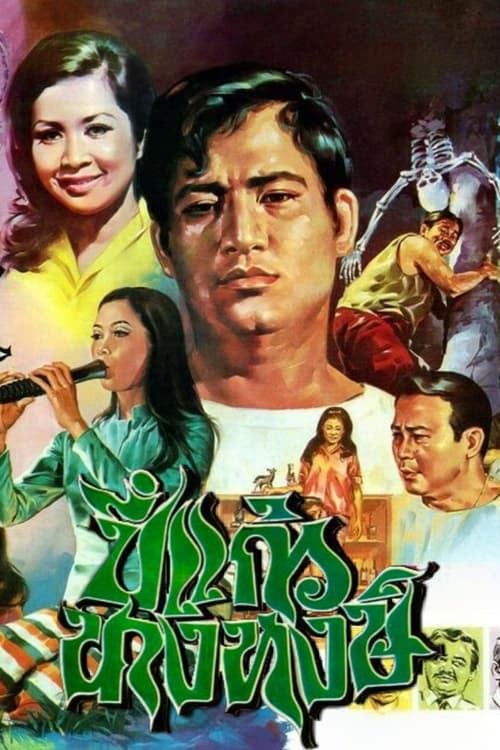 Pi Kaew Nang Hong movie poster
