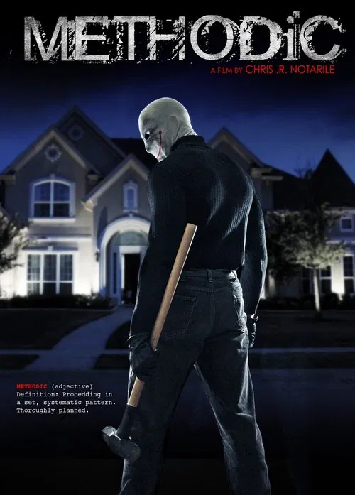 Methodic movie poster