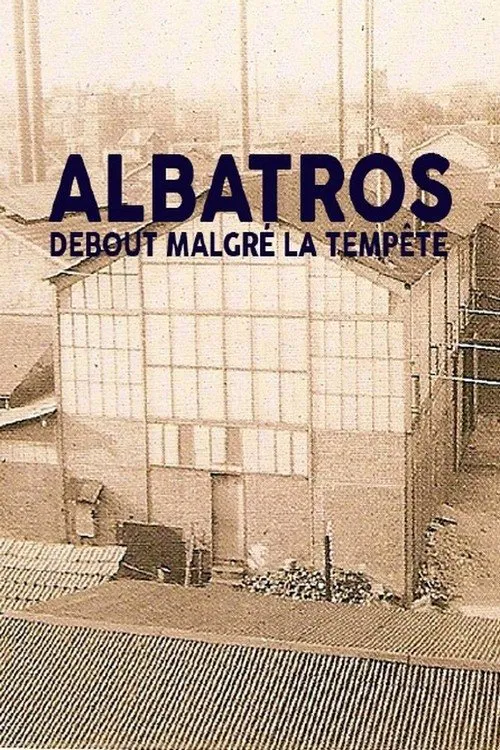 Albatros, debout malgré la tempête movie poster