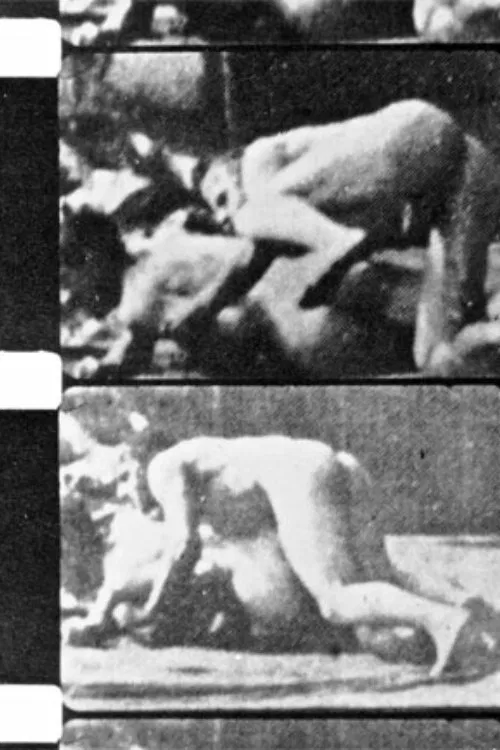 Poster do filme Filming Muybridge