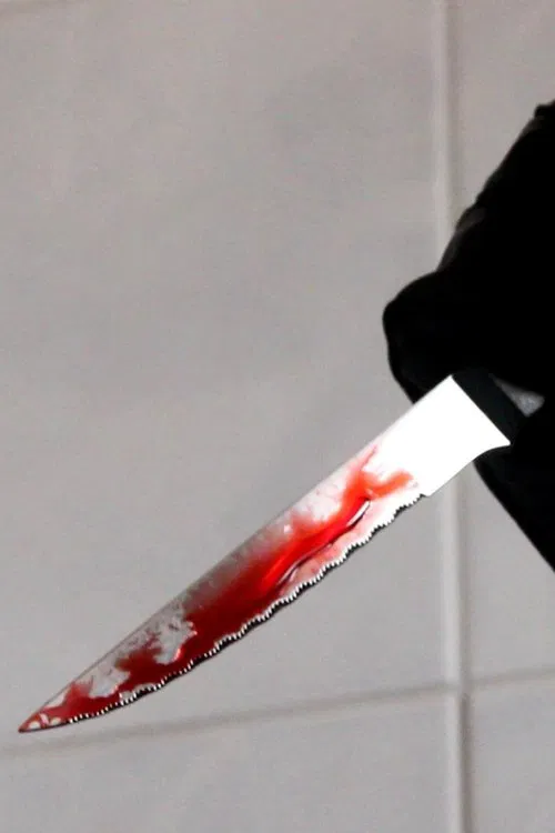 Three Bloody Photograps movie poster