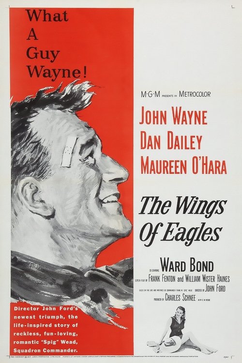 The Wings of Eagles movie poster