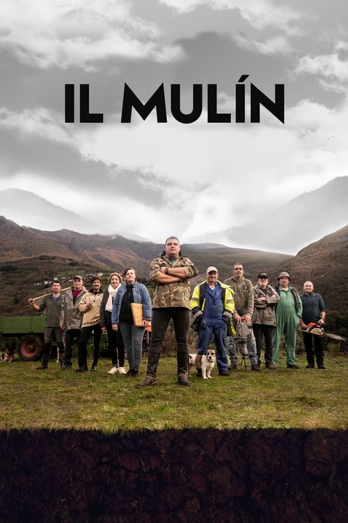 Il mulín movie poster