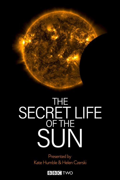 The Secret Life of the Sun movie poster