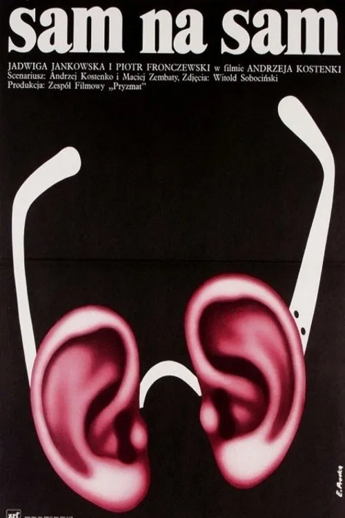 Poster do filme Sam na sam