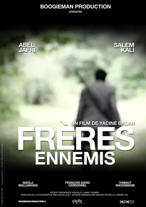 Poster do filme Frères ennemis