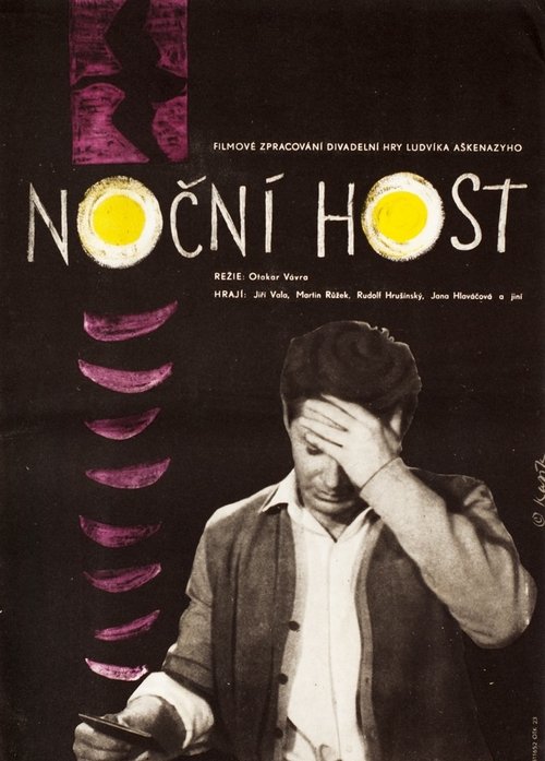 The Night Guest movie poster