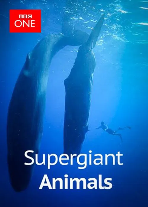 Supergiant Animals movie poster