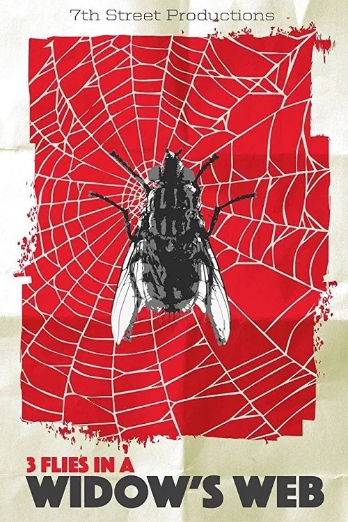 3 Flies in a Widow's Web movie poster