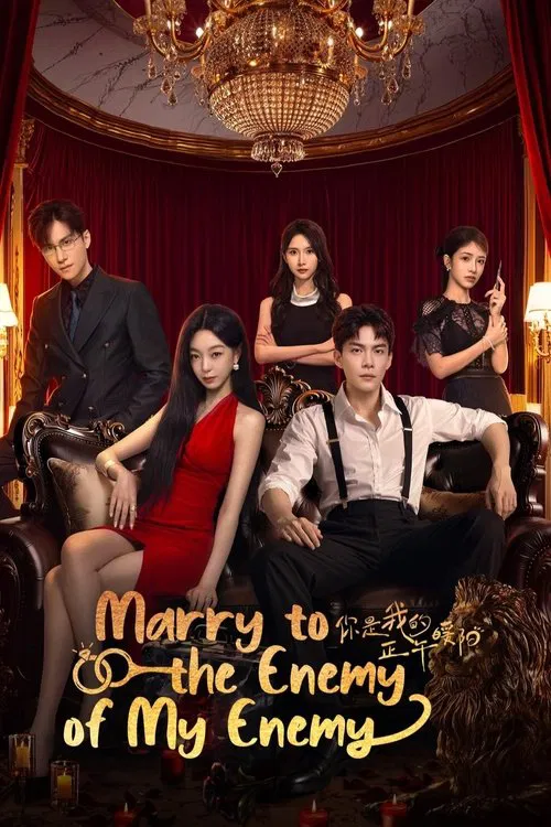 Marry to the Enemy of My Enemy tv show poster