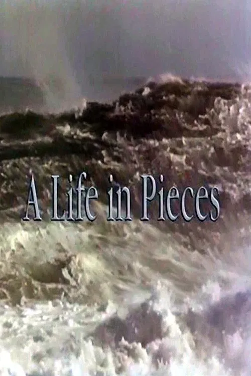 A Life In Pieces tv show poster