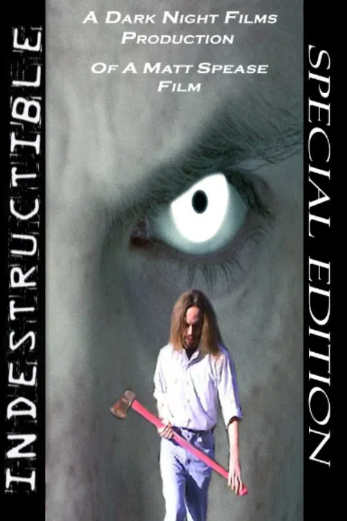 Poster do filme Indestructible