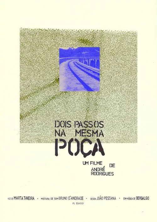 Poster do filme Dois passos na mesma poça