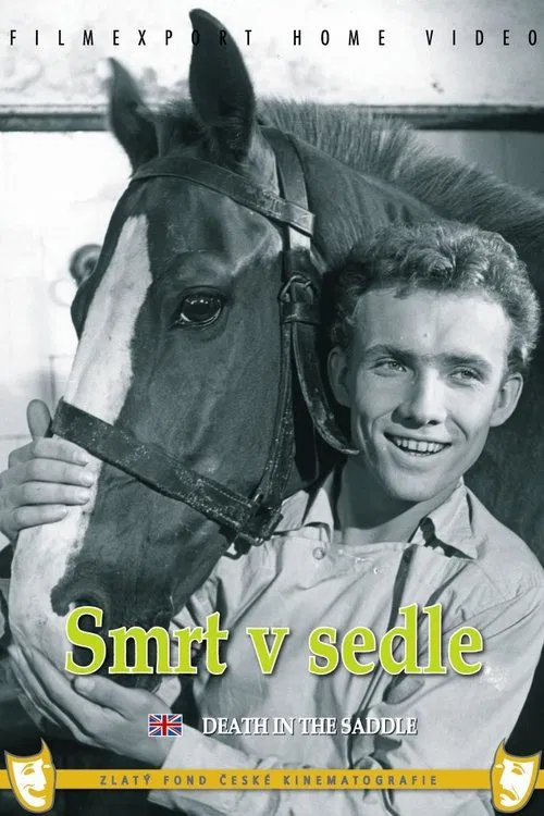 Poster do filme Death in the Saddle