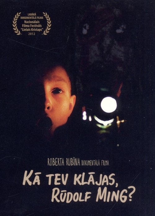 Poster do filme How Are You Doing, Rudolf Ming?