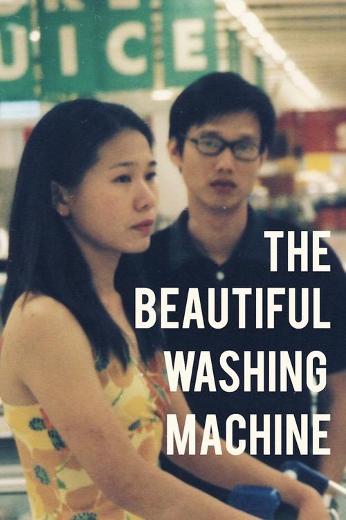 The Beautiful Washing Machine movie poster