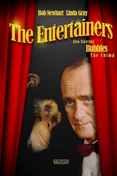 The Entertainers movie poster