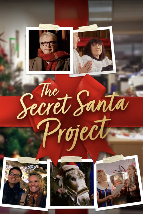 The Secret Santa Project movie poster