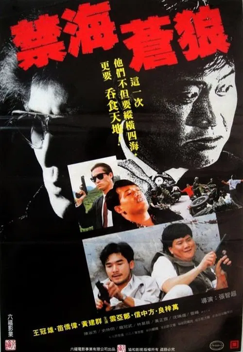 The Killer from China movie poster