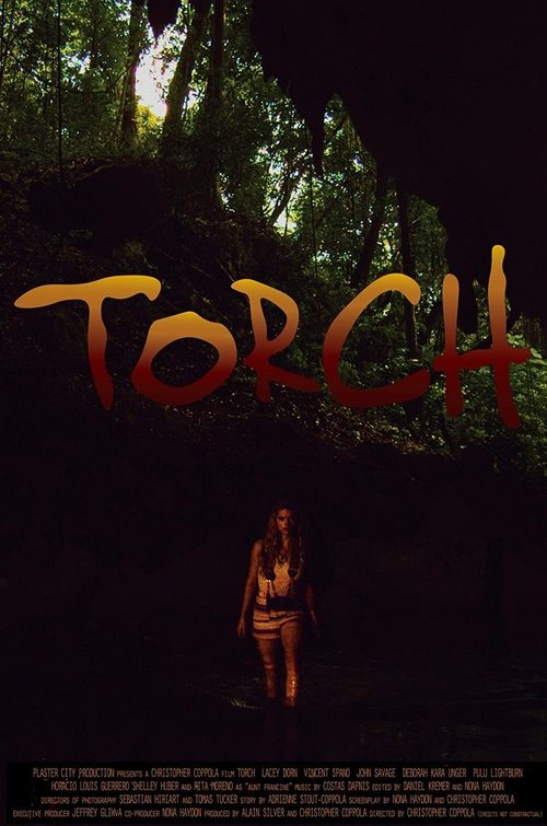 Torch movie poster