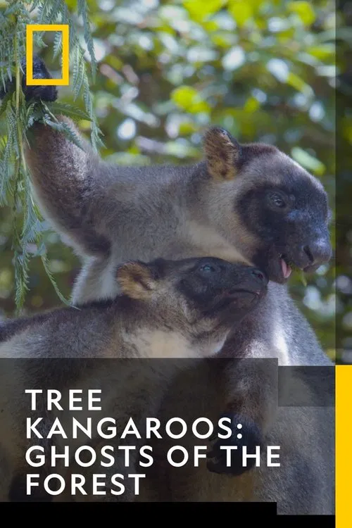 Tree Kangaroos: Ghosts of the Forest movie poster
