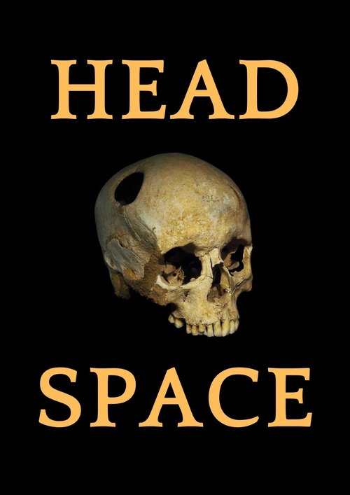 Headspace movie poster