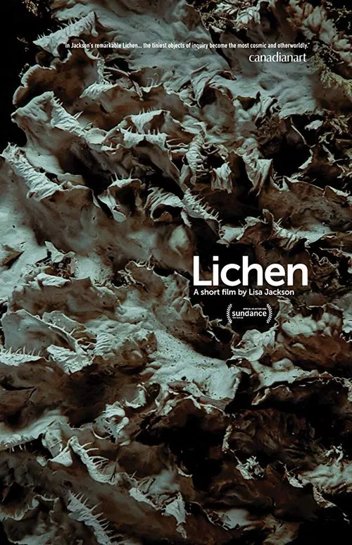Lichen movie poster