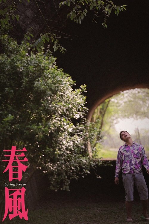 Spring Breeze movie poster