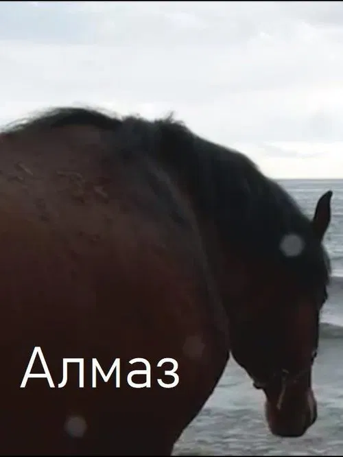 Poster do filme Almaz