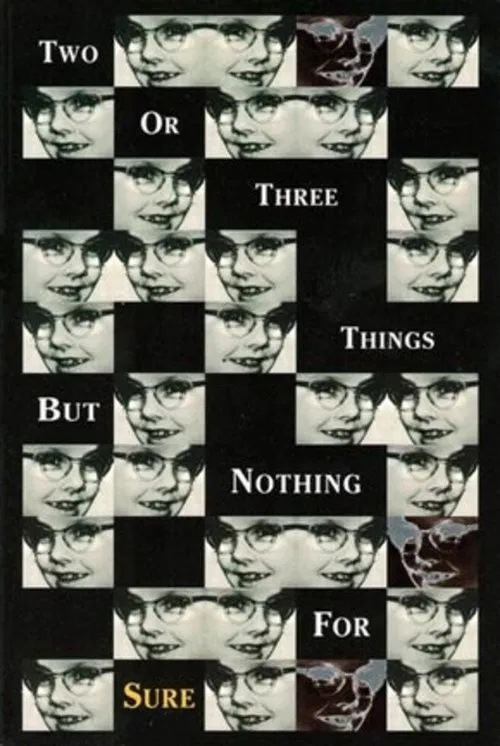 2 or 3 Things But Nothing for Sure movie poster