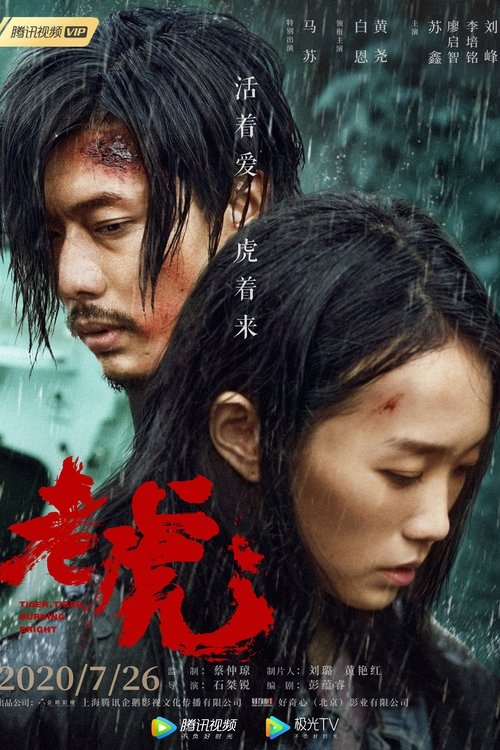 The Beautiful Kokonor Lake movie poster
