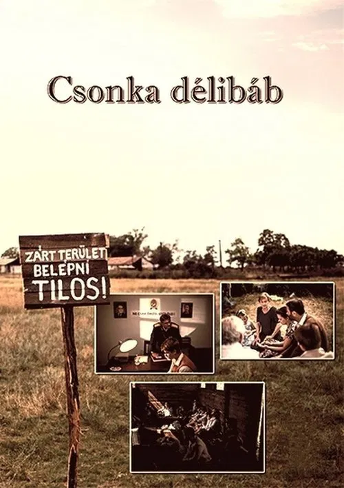 Csonka délibáb movie poster