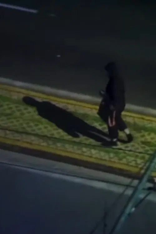 Incredible thoughts of a woman on a tier movie poster