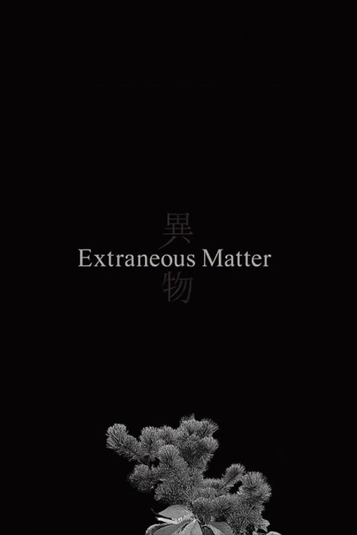 Extraneous Matter movie poster